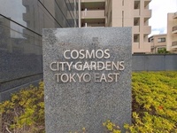 外観: