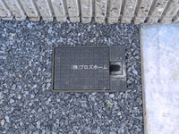 外観: