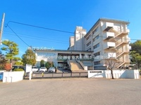 周辺環境:越谷市立新栄中学校