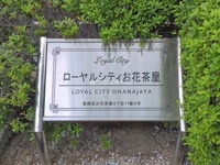エントランス: