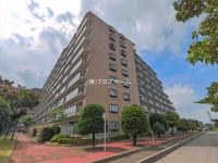 外観: