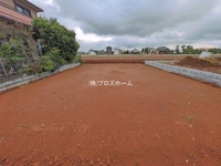 外観: