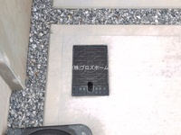 外観:
