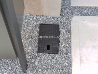 外観: