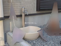 外観: