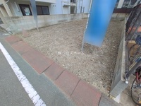 外観: